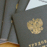 В Энгельсе продолжаются мероприятия по выявлению нелегальной трудовой занятости - Администрация Энгельского района