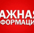Информация для владельцев крупного рогатого скота - Администрация Энгельского района