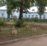Клубные работники и воспитанники клубов приняли участие в мероприятиях по благоустройству территории - Городской Совет депутатов г. Энгельс   