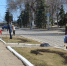 Коллектив Энгельсского краеведческого музея принял участие в общегородском субботнике. - Энгельсский краеведческий музей