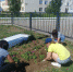 В Терновском муниципальном образовании продолжаются работы по благоустройству населенных пунктов - Администрация Энгельского района