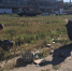 Волонтеры службы "Доброволец" приняли участие в благоустройстве городских территорий - Городской Совет депутатов г. Энгельс   