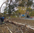 В Безымянском МО продолжается месячник по благоустройству территорий - Администрация Энгельского района