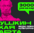 о "Пушкинской карте".. - Комитет по образованию