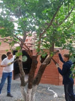 КУЛЬТУРНЫЙ СУББОТНИК