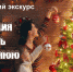 Анонс. Исторический экскурс «Традиция наряжать новогоднюю елку» - ЦБС Энгельсского района