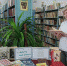 Книжная выставка «…Будьте, как маяк!» - ЦБС Энгельсского района