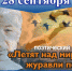 Анонс. Поэтический вечер «Летят над миром журавли поэта» - ЦБС Энгельсского района
