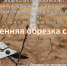 Анонс. Час полезных советов «Весенняя обрезка сада» - ЦБС Энгельсского района