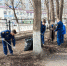 Акция по благоустройству территории города - Комитет по образованию