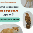 Ко Дню многодетных семей в Энгельсском краеведческом музее состоится увлекательное музейное занятие «Кто какой построил дом?» - Энгельсский краеведческий музей