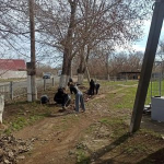 Субботник
