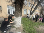 Субботник