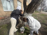 Субботник